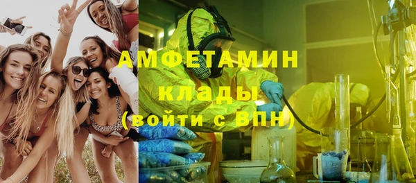 стафф Аркадак