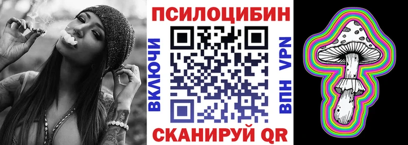 дарк нет Telegram продажа наркотиков Саров Галлюциногенные грибы прущие грибы